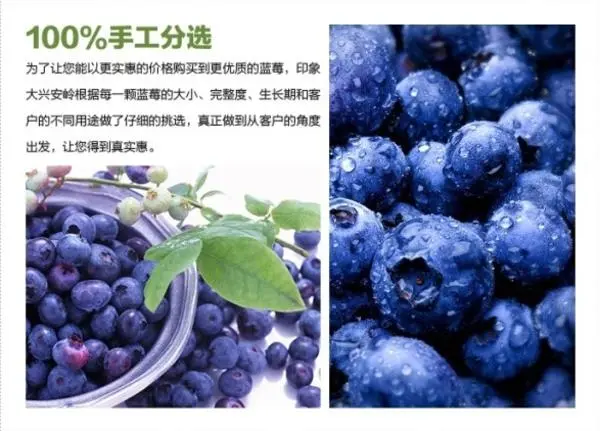 蓝莓粉饭前喝还是饭后喝  蓝莓粉有什么好处？